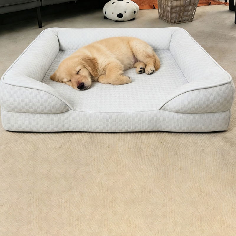 Puppy sleeping in the pet bed