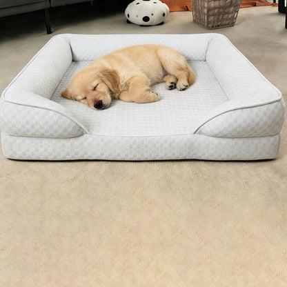 Puppy sleeping in the pet bed