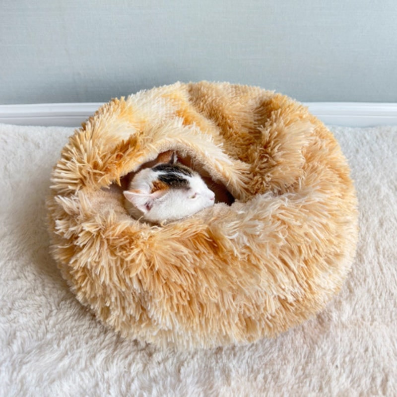 Yellow plush round pet bed with a cat inside
