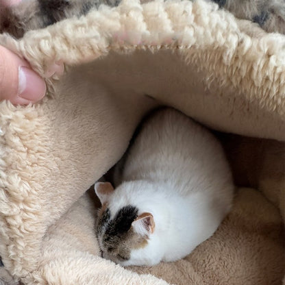 Cat resting under the hooded top