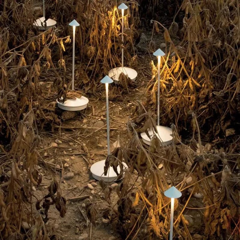 Lamps glowing in a garden