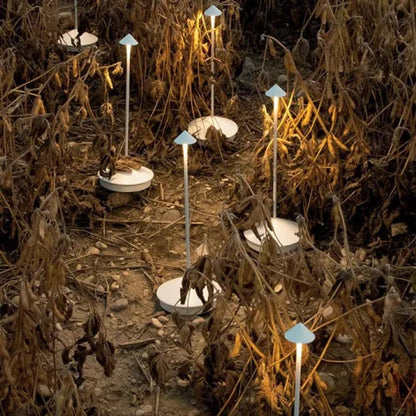 Lamps glowing in a garden